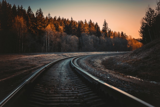 railroad and trees